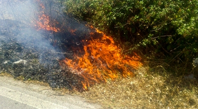 ordinanza adempimenti relativi al piano regionale per la prescrizione incendi anno 2026