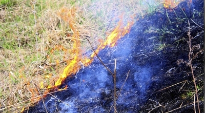 Piano regionale prevenzione degli incendi