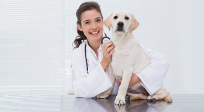 giornata microchip gratuita