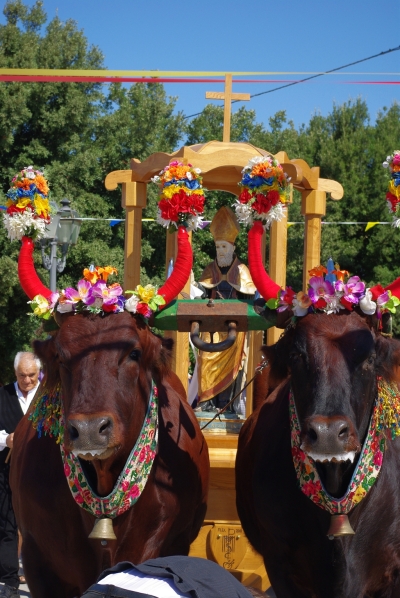FESTA SANT'AGOSTINO   SAN GIOVANNI  BATTISTA E SAGRA DELLA PECORA  2025 - AVVISO AGLI ESPOSITORI
